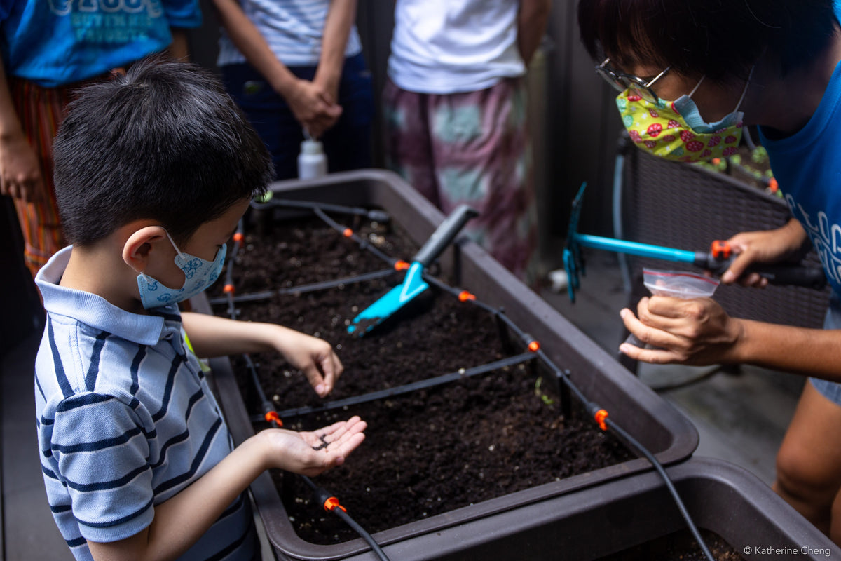 Farm Set Up & Maintenance – Rooftop Republic Urban Farming