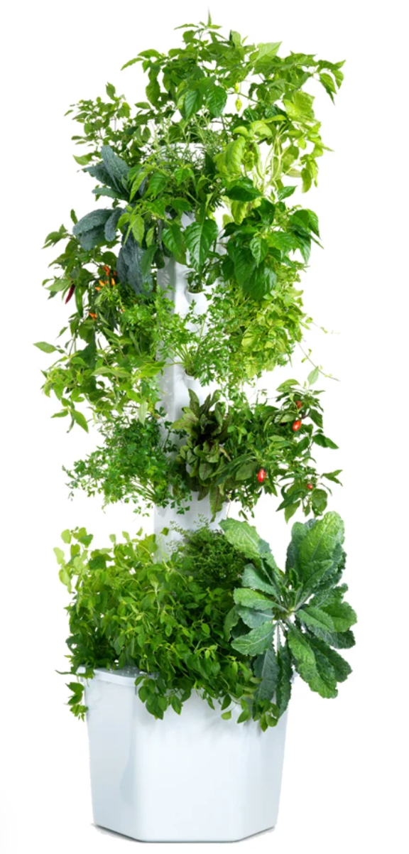 Aerospring Tower Grow Kit | 高身流水種植套裝