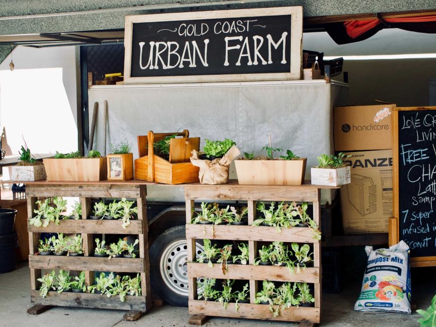 Urban Farming Workshop
