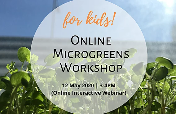 Online Microgreens Workshop For Kids!