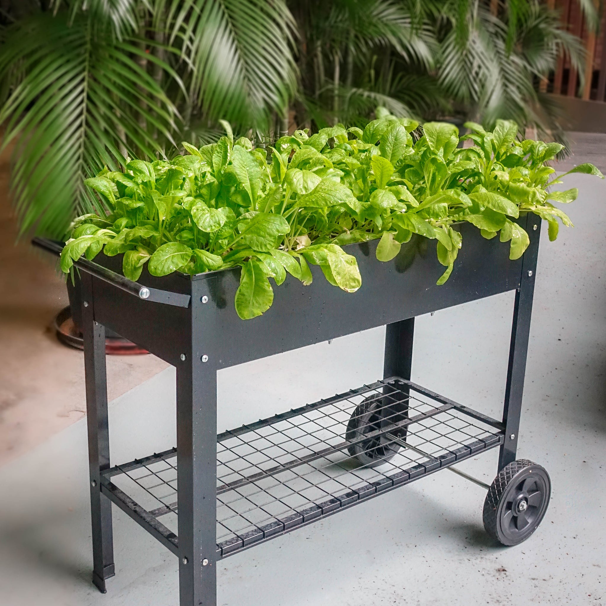 Mobile Planter Grow Kit | 可移動種植箱套裝