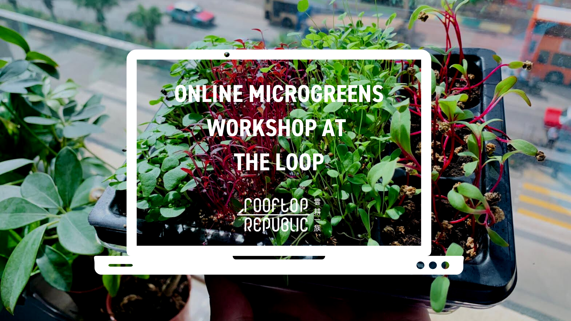 Online Microgreens Workshop at The Loop