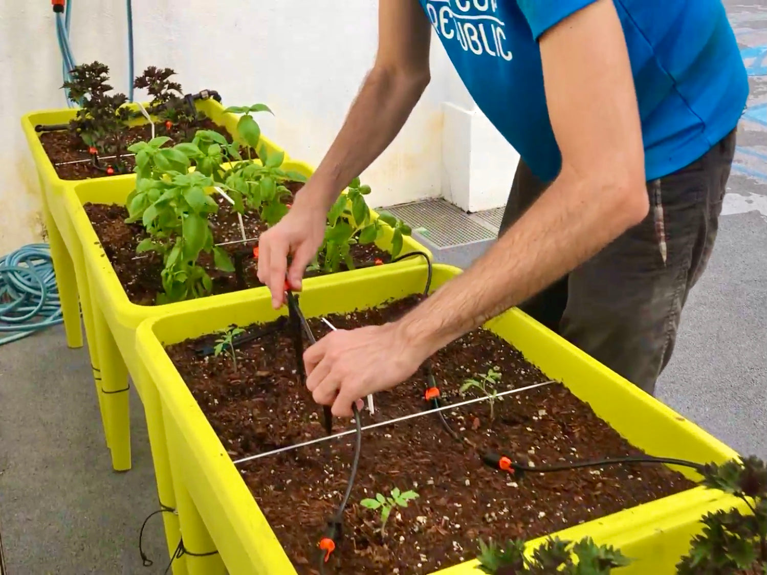 Recycled Planter Grow Kit | 再生種植箱套裝